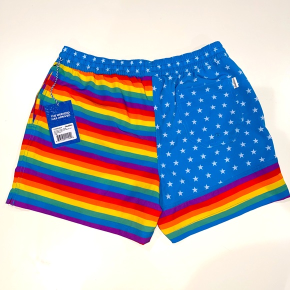 Chubbies Rainbow Stripes Swim Trunks - Picture 2 of 7